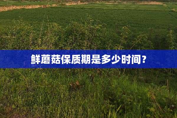 鲜蘑菇保质期是多少时间？