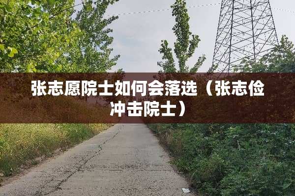 张志愿院士如何会落选（张志俭冲击院士）