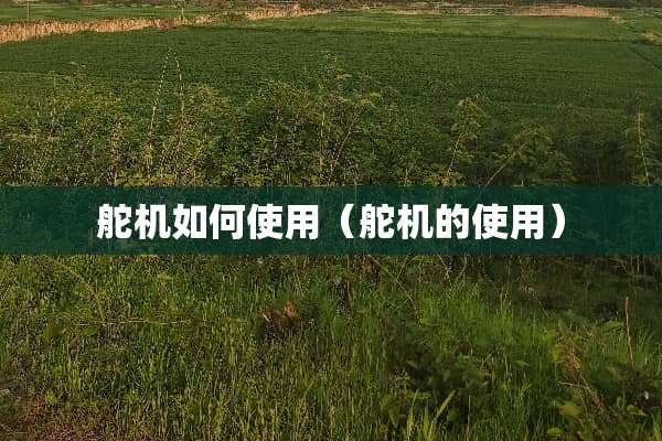 舵机如何使用（舵机的使用）