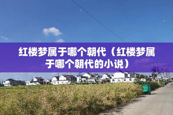 红楼梦属于哪个朝代（红楼梦属于哪个朝代的小说）