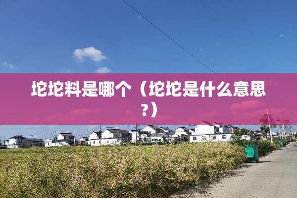 坨坨料是哪个（坨坨是什么意思?）