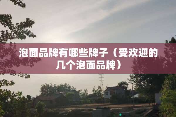 泡面品牌有哪些牌子（受欢迎的几个泡面品牌）
