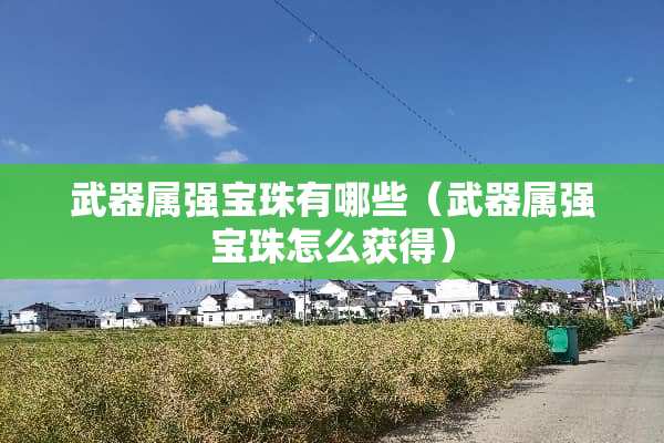 **属强宝珠有哪些（**属强宝珠怎么获得）