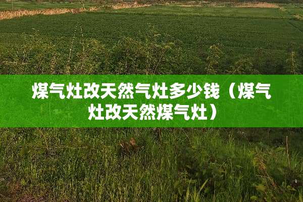 煤气灶改天然气灶多少钱（煤气灶改天然煤气灶）