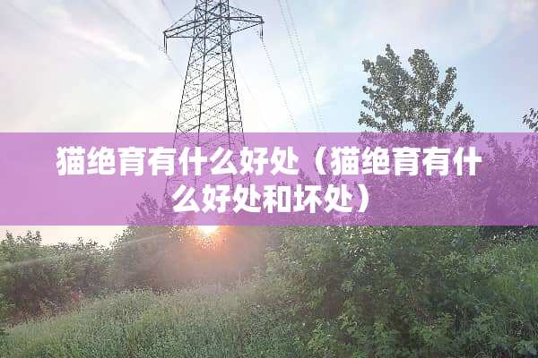 猫绝育有什么好处（猫绝育有什么好处和坏处）
