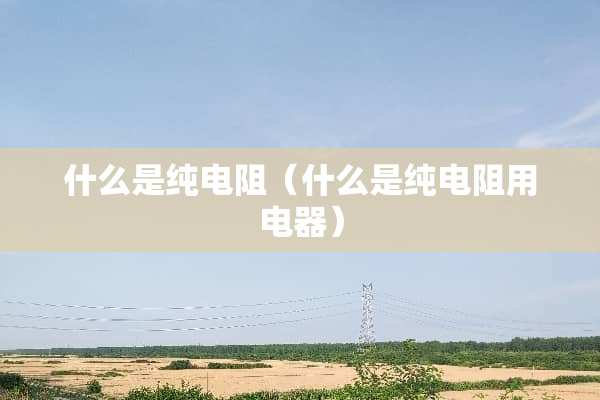 什么是纯电阻（什么是纯电阻用电器）