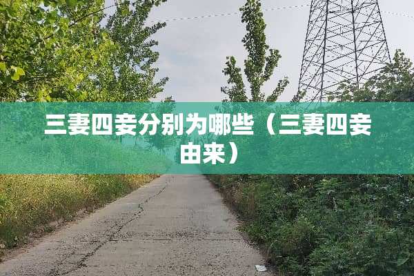 三妻四妾分别为哪些（三妻四妾由来）