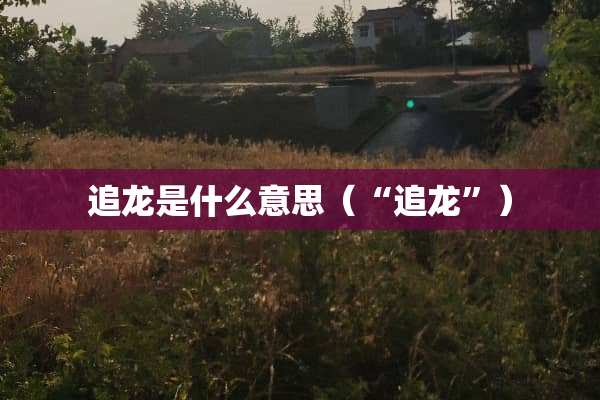 追龙是什么意思（“追龙”）