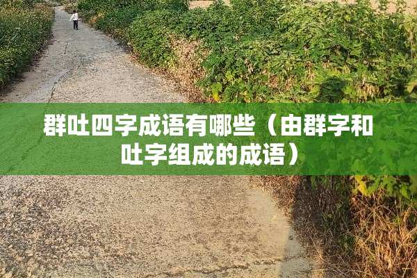群吐四字成语有哪些（由群字和吐字组成的成语）