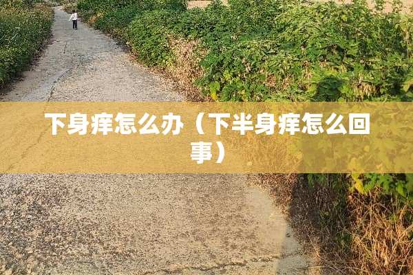 下身痒怎么办（下半身痒怎么回事）