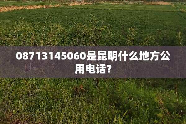 08713145060是昆明什么地方公用电话？