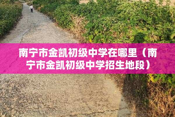 南宁市金凯初级中学在哪里（南宁市金凯初级中学招生地段）