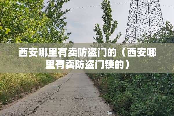 西安哪里有卖防盗门的（西安哪里有卖防盗门锁的）