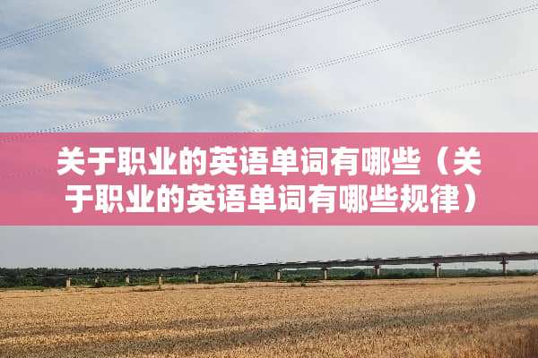 关于职业的英语单词有哪些（关于职业的英语单词有哪些规律）
