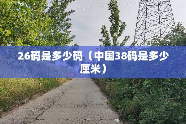 26码是多少码（中国38码是多少厘米）