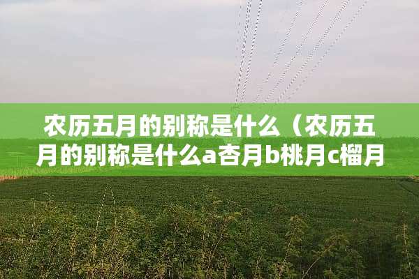 农历五月的别称是什么（农历五月的别称是什么a杏月b桃月c榴月d荷月）