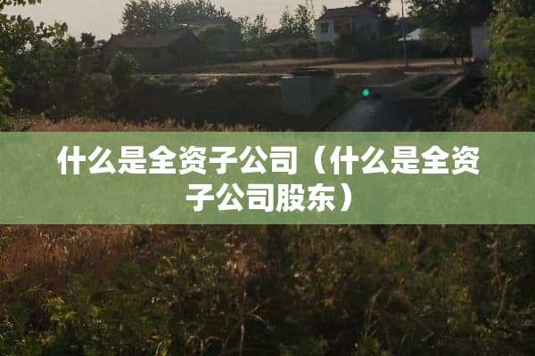 什么是全资子公司（什么是全资子公司股东）