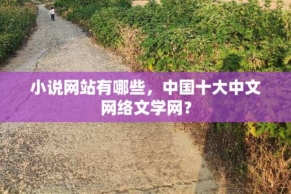 小说网站有哪些，中国十大中文网络文学网？