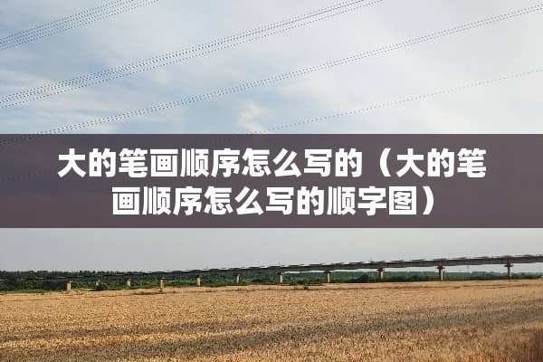 大的笔画顺序怎么写的（大的笔画顺序怎么写的顺字图）