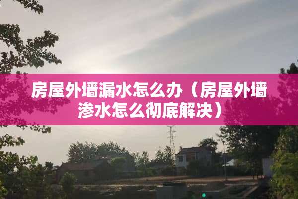房屋外墙漏水怎么办（房屋外墙渗水怎么彻底解决）