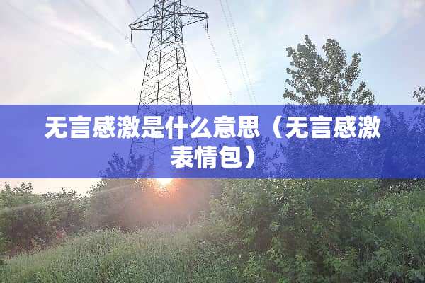 无言感激是什么意思（无言感激表情包）