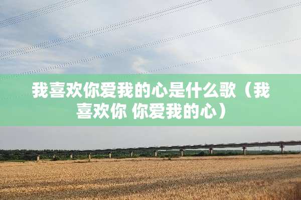 我喜欢你爱我的心是什么歌（我喜欢你 你爱我的心）