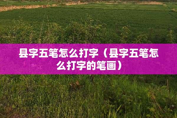 县字五笔怎么打字（县字五笔怎么打字的笔画）