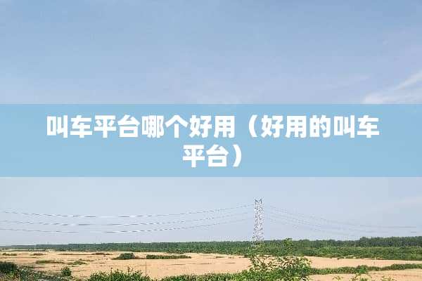 叫车平台哪个好用（好用的叫车平台）