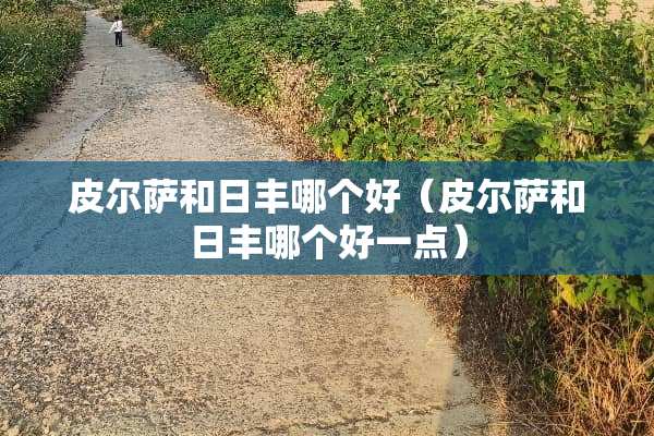 皮尔萨和日丰哪个好（皮尔萨和日丰哪个好一点）