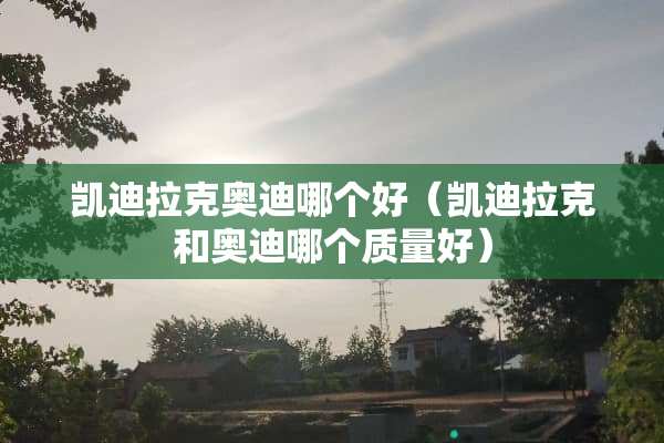 凯迪拉克奥迪哪个好（凯迪拉克和奥迪哪个质量好）
