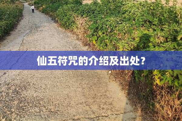 仙五符咒的介绍及出处？