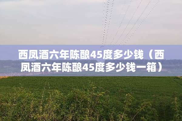 西凤酒六年陈酿45度多少钱（西凤酒六年陈酿45度多少钱一箱）