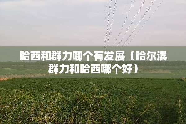 哈西和群力哪个有发展（哈尔滨群力和哈西哪个好）