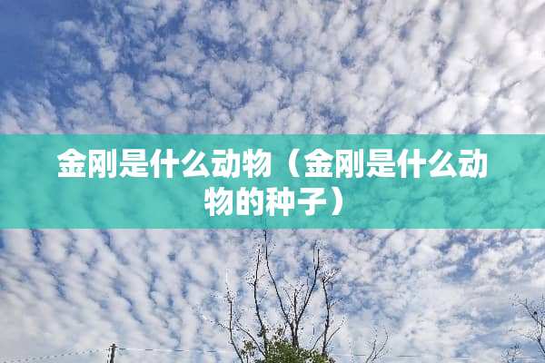 金刚是什么动物（金刚是什么动物的种子）