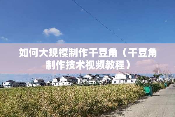 如何大规模制作干豆角（干豆角制作技术视频教程）