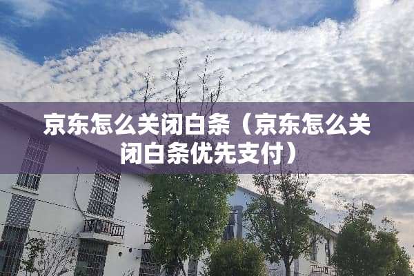 京东怎么关闭白条（京东怎么关闭白条优先支付）