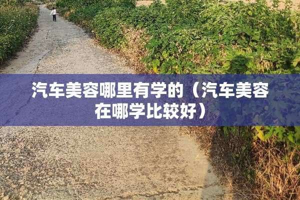 汽车美容哪里有学的（汽车美容在哪学比较好）