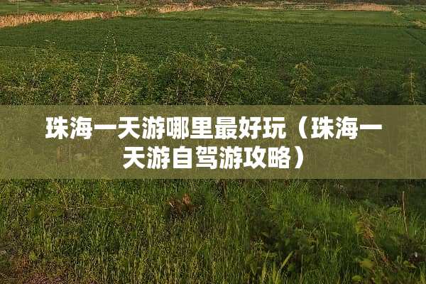 珠海一天游哪里最好玩（珠海一天游自驾游攻略）
