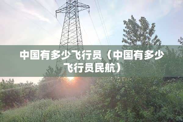 中国有多少飞行员（中国有多少飞行员民航）