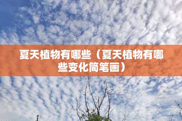 夏天植物有哪些（夏天植物有哪些变化简笔画）