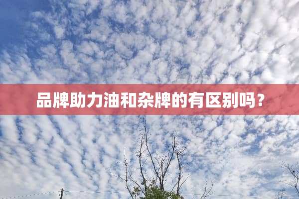 品牌助力油和杂牌的有区别吗？