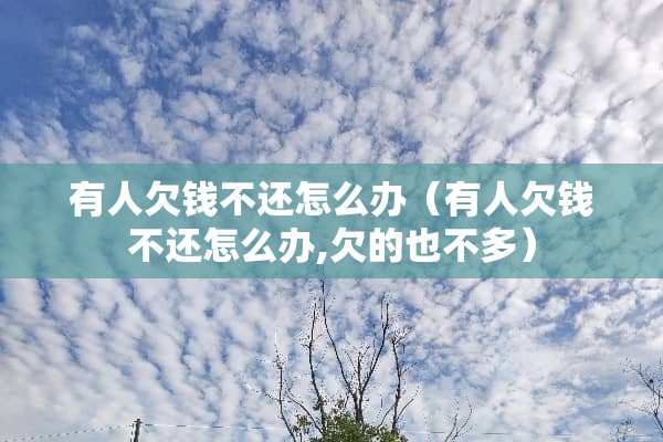 有人欠钱不还怎么办（有人欠钱不还怎么办,欠的也不多）