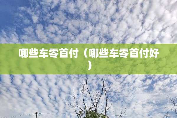 哪些车零首付（哪些车零首付好）