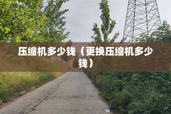 压缩机多少钱（更换压缩机多少钱）