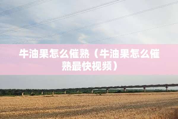 牛油果怎么催熟（牛油果怎么催熟最快视频）