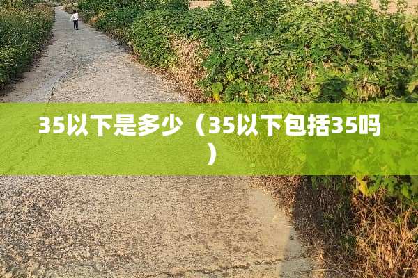 35以下是多少（35以下包括35吗）