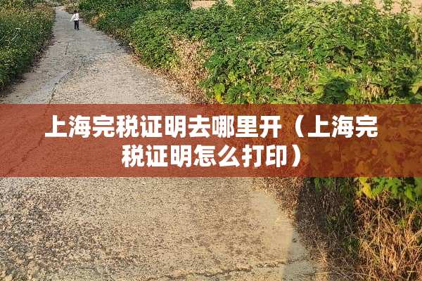 上海完税证明去哪里开（上海完税证明怎么打印）