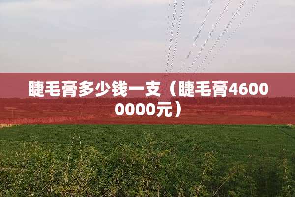 睫毛膏多少钱一支（睫毛膏46000000元）