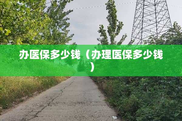 办医保多少钱（办理医保多少钱）