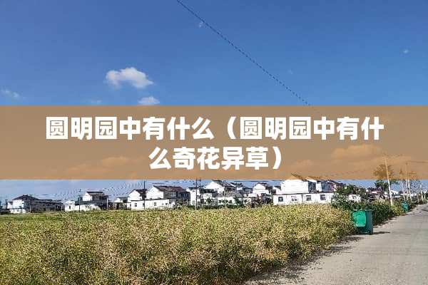 圆明园中有什么（圆明园中有什么奇花异草）